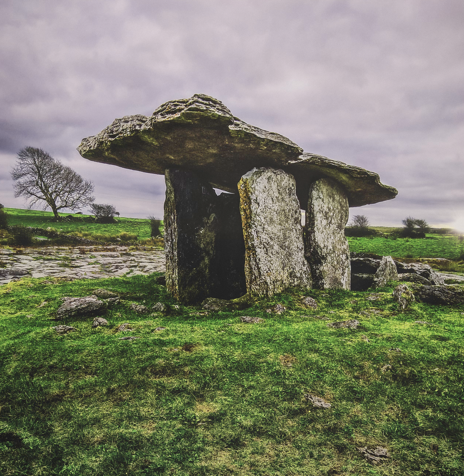 The Burren, Ireland